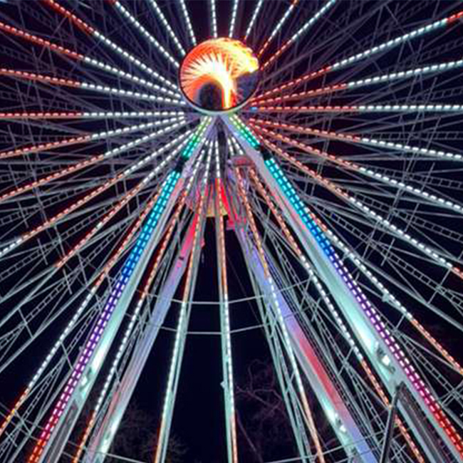 Włocławek: The Heart of My Story and a Homecoming